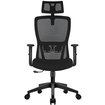 Durrafy Office Chair, Desk Chair with Adjustable Headrest, Lumbar support and Liftable Armrest, High Back Ergonomic Office Chair, Breathable Mesh Backrest for Comfy, Computer Chair for Home/Office