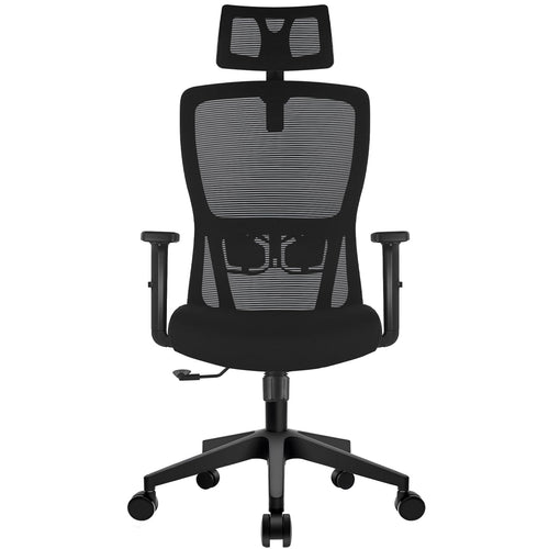 Durrafy Office Chair, Desk Chair with Adjustable Headrest, Lumbar support and Liftable Armrest, High Back Ergonomic Office Chair, Breathable Mesh Backrest for Comfy, Computer Chair for Home/Office