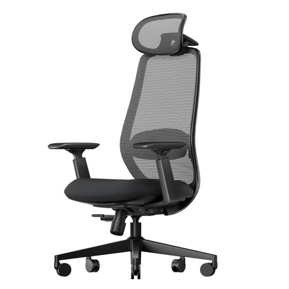 ProtoArc EC200 Ergonomic Office Chair - High Back Computer Desk Chair with 2-Way Adjustable Lumbar Support, Seat Depth & 3D Headrest, Mesh Swivel Desk Chair for Home & Office, Black