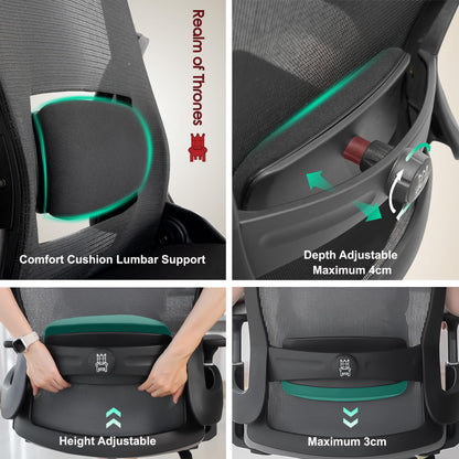 Realm of Thrones AVALON Ergonomic Office Chair for Home, Gaming Desk Chair, 3D Headrest/High Back Mesh/Comfort Cushion Seat/3D Armrests/Adjustable Lumbar Support/Heavy Duty Steel Base (Black)